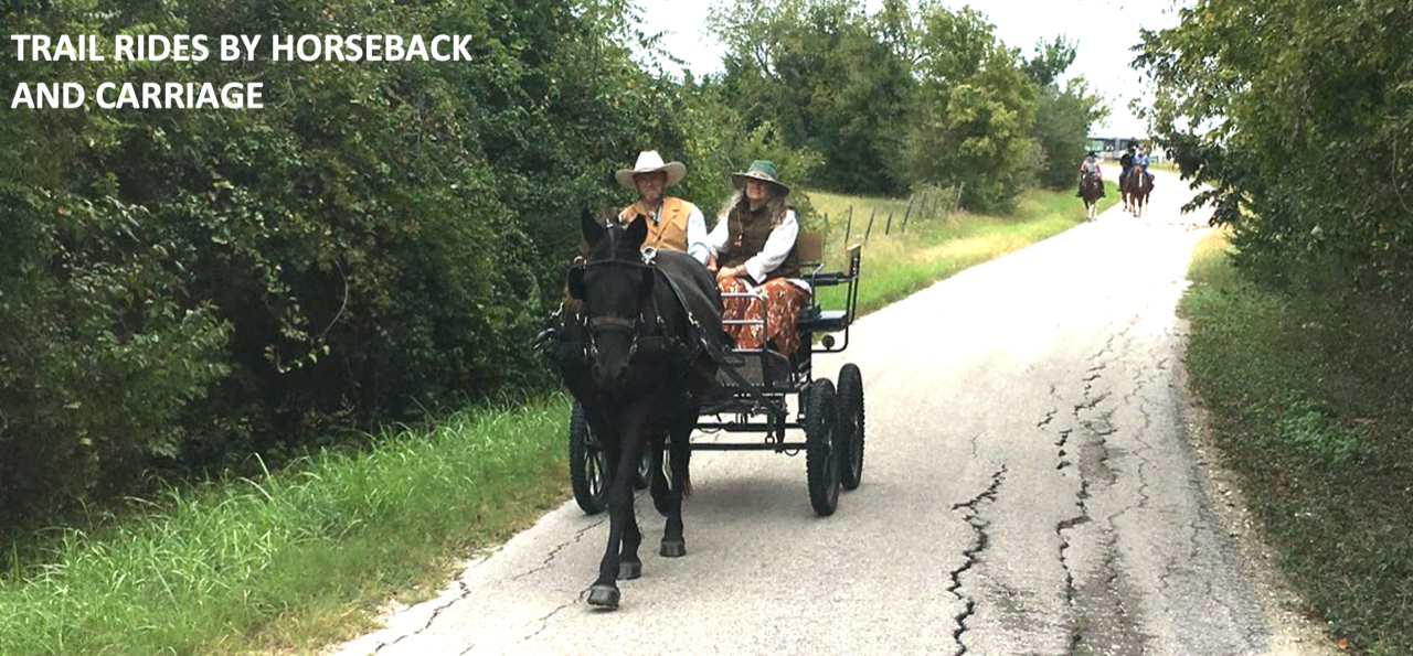 Screen Shot 2022-03-07 at 12.29.53 PM.png